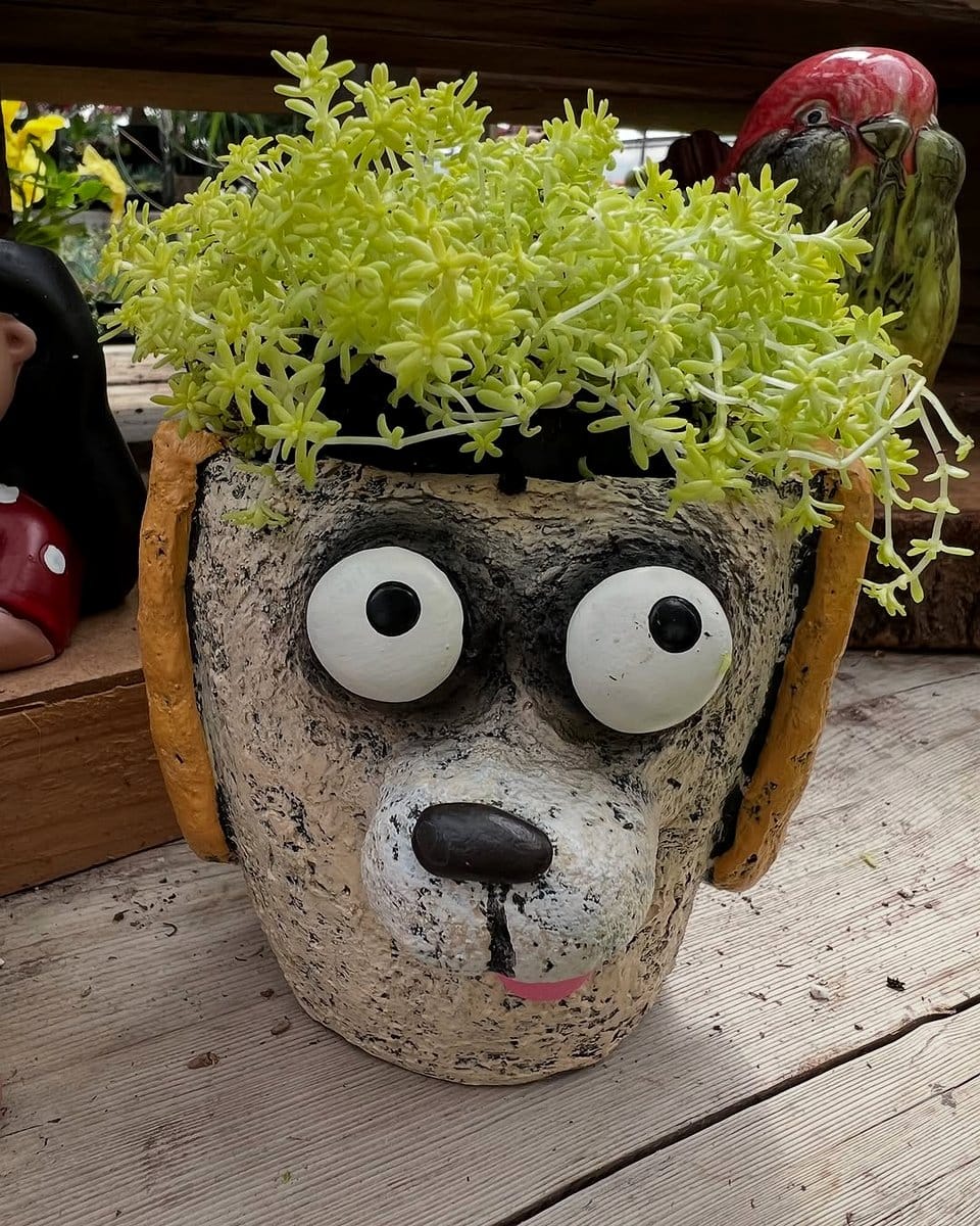 whimsical animal planter with cactus
