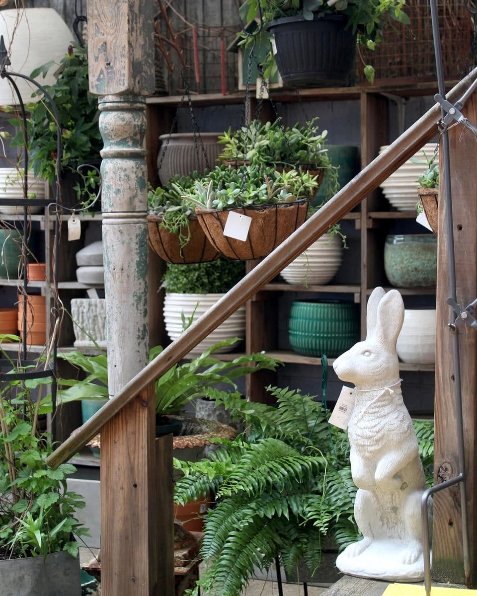 stair-step garden shelves with potted herbs