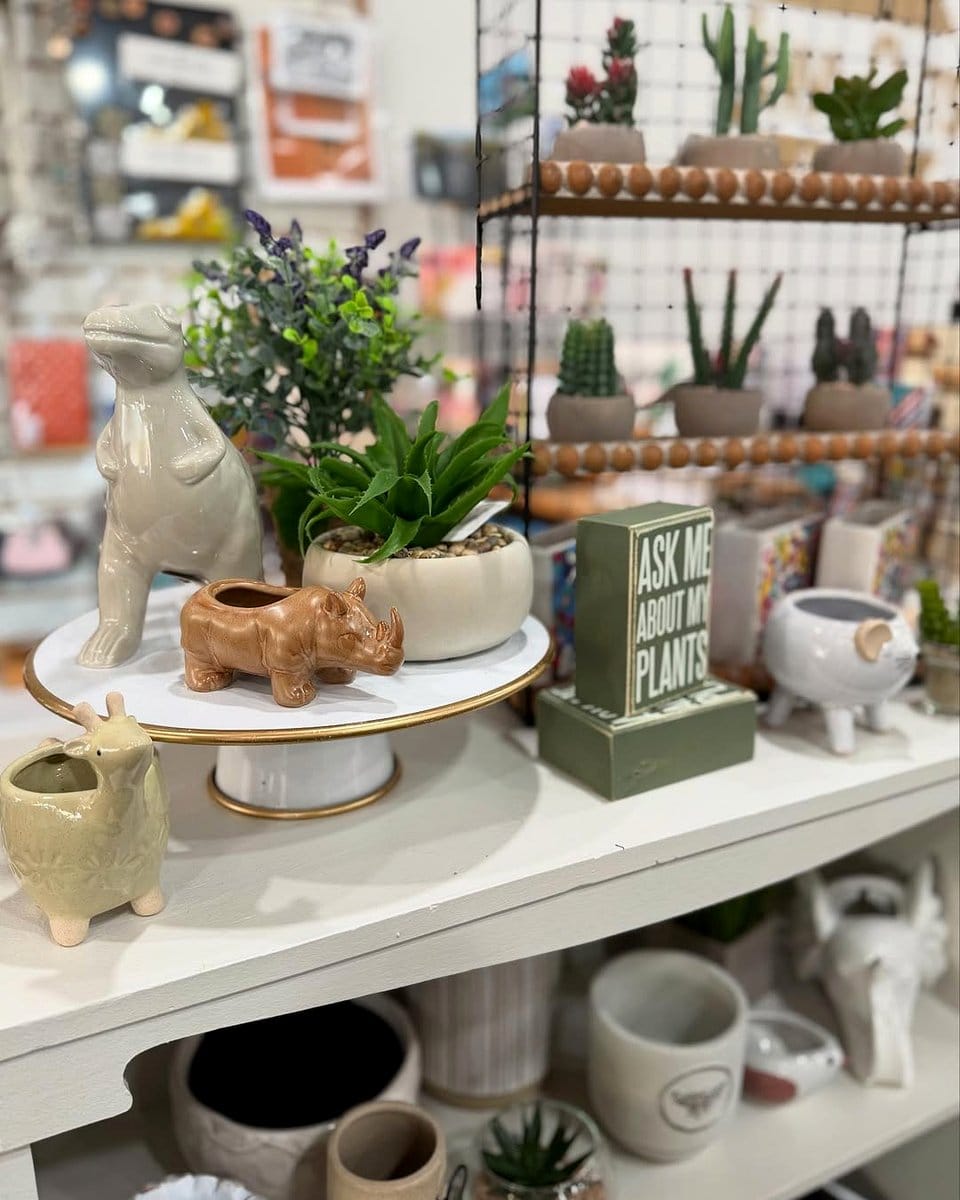 Simple white lace pot cover on a shelf