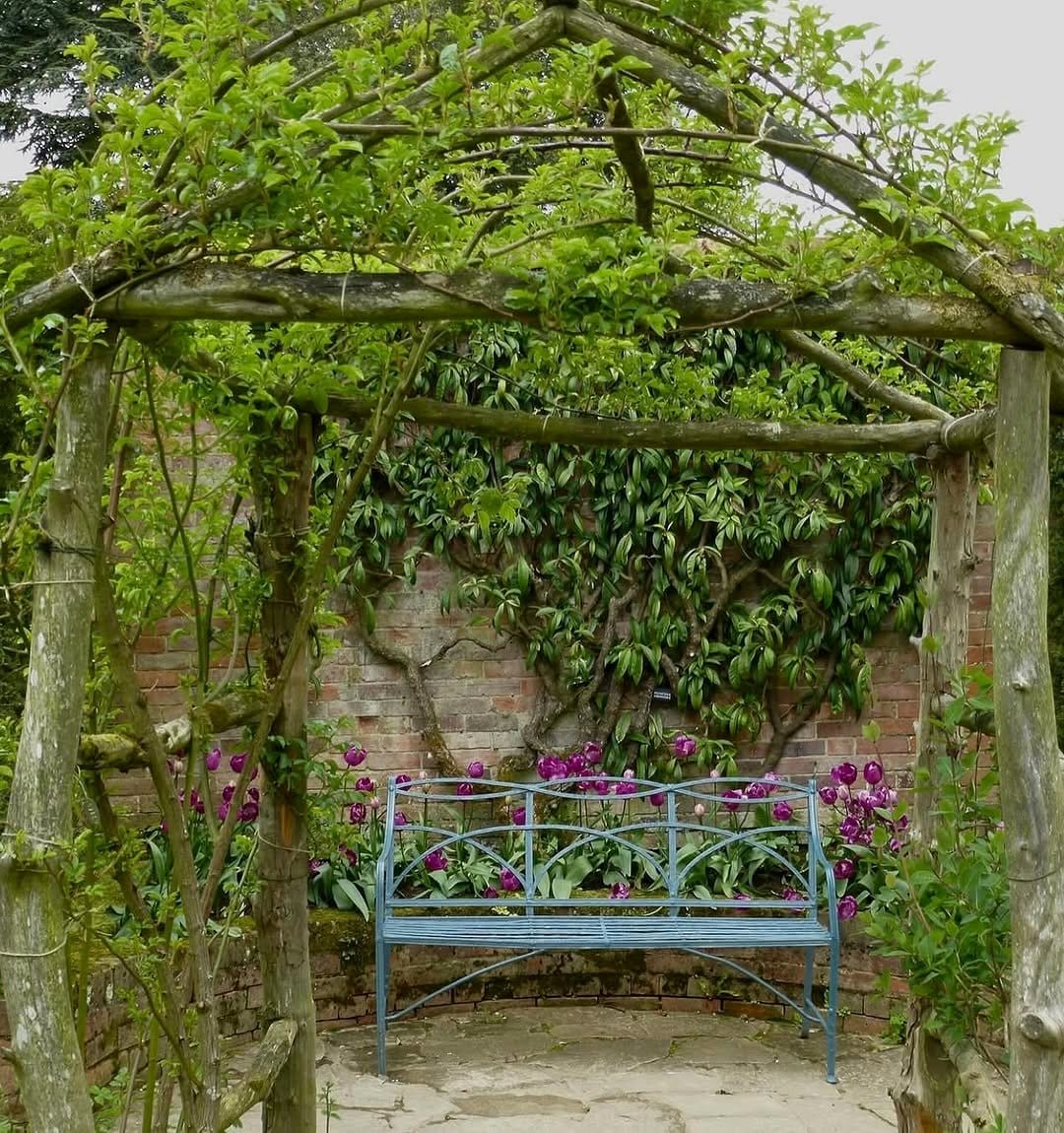 enchanting climbing plant arbor in garden