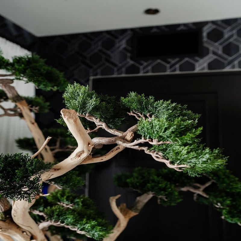 Zen-inspired chrome plant shelves with bonsai