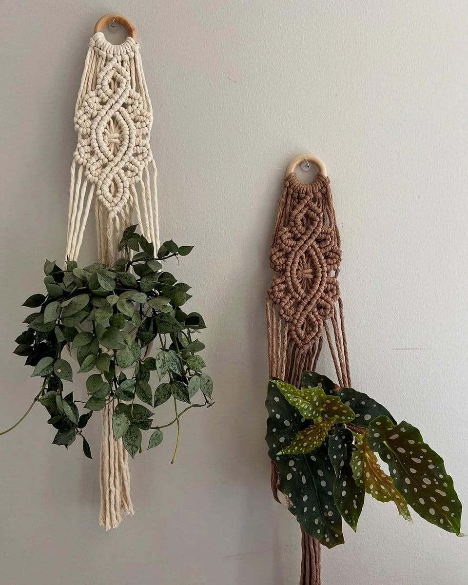 asymmetrical macramé plant hanger