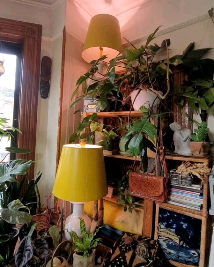 Sunlit window with hanging prayer flags and plants