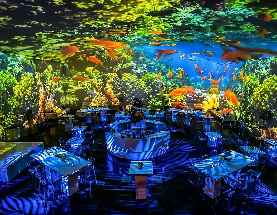 underwater plant scene projection