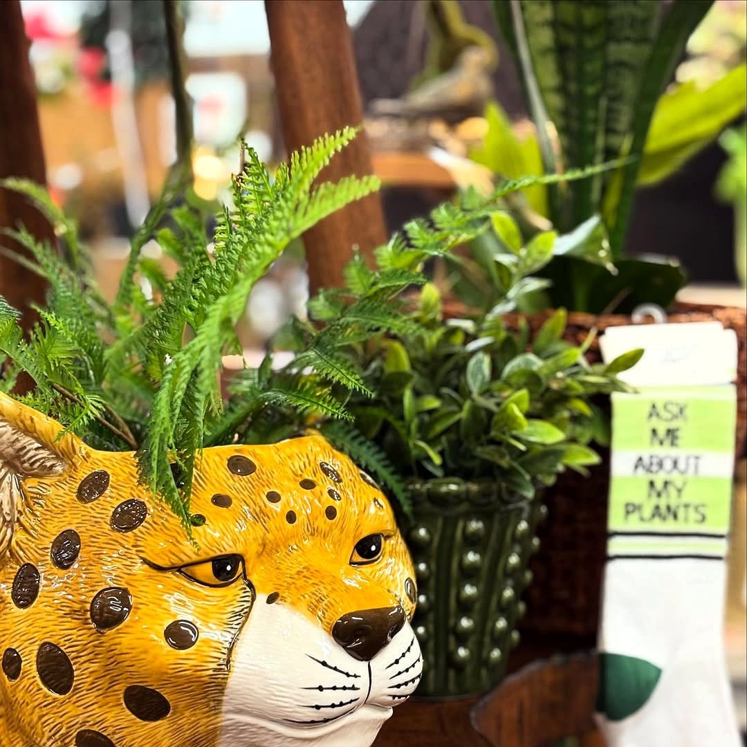 Quirky ceramic animal planters