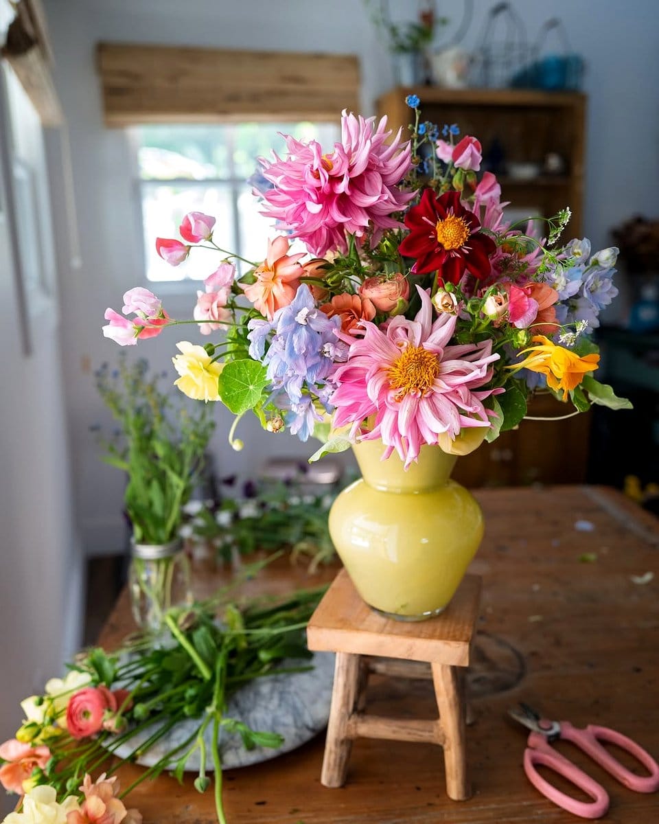 Seasonal flowers in vase