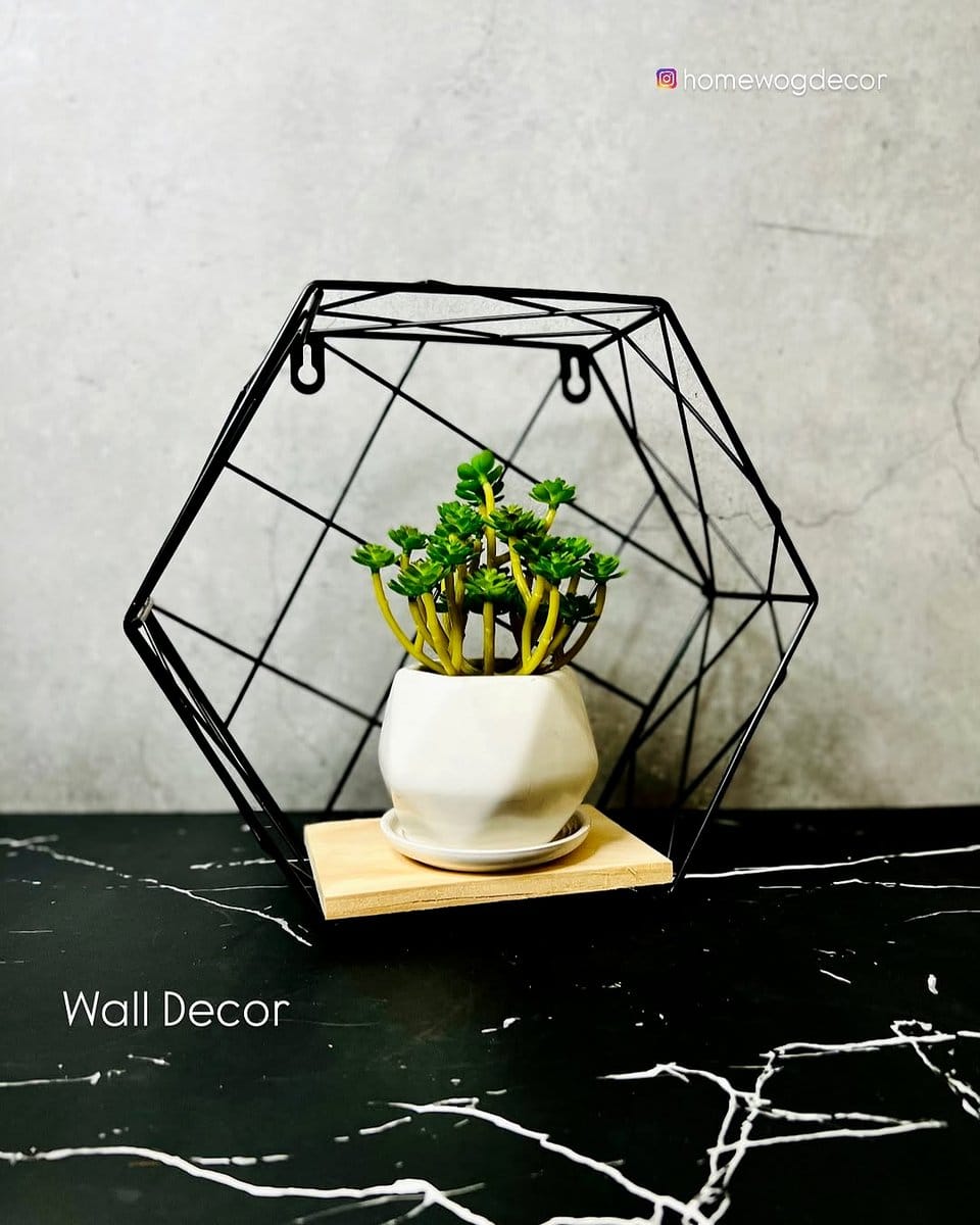 geometric metal planter with ivy