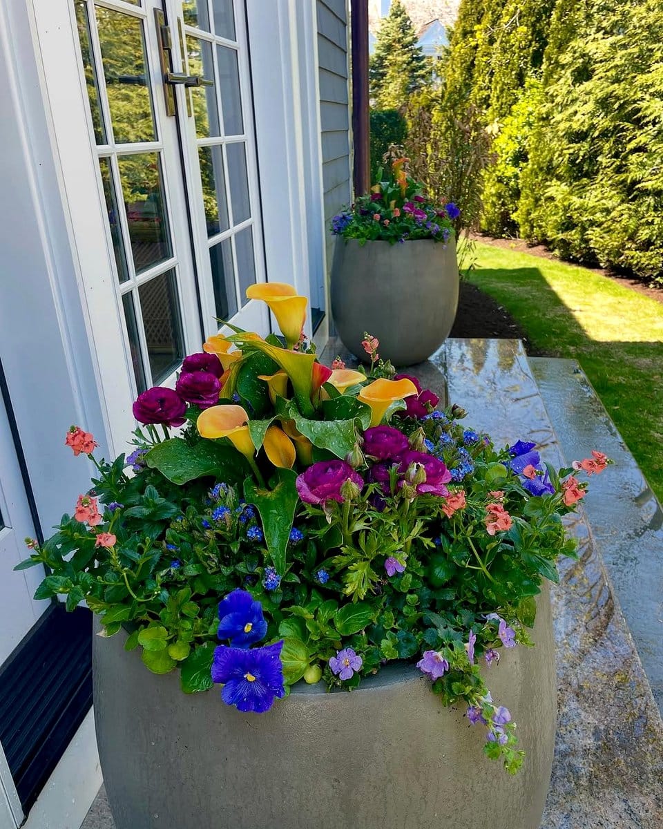 colorful potted plant arrangement on patio
