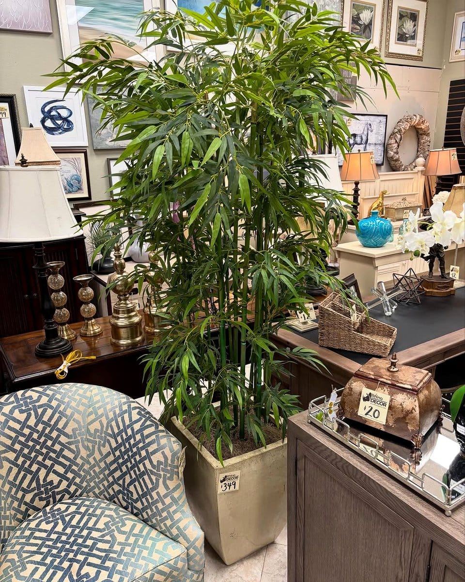 piano planter with bamboo plants