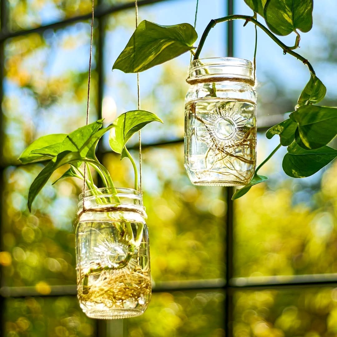 Hanging Mason jars with herbs