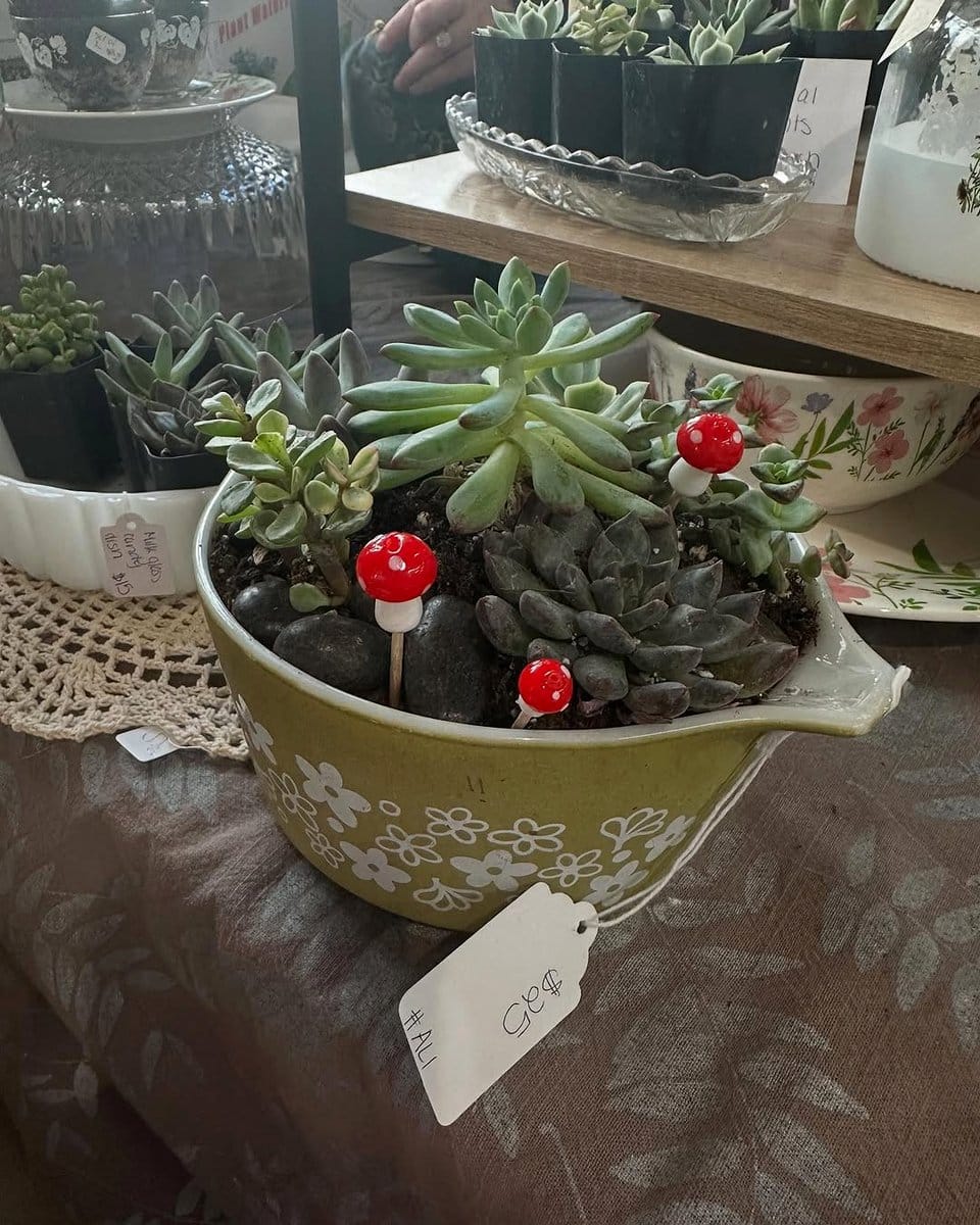 glass terrarium with assorted succulents