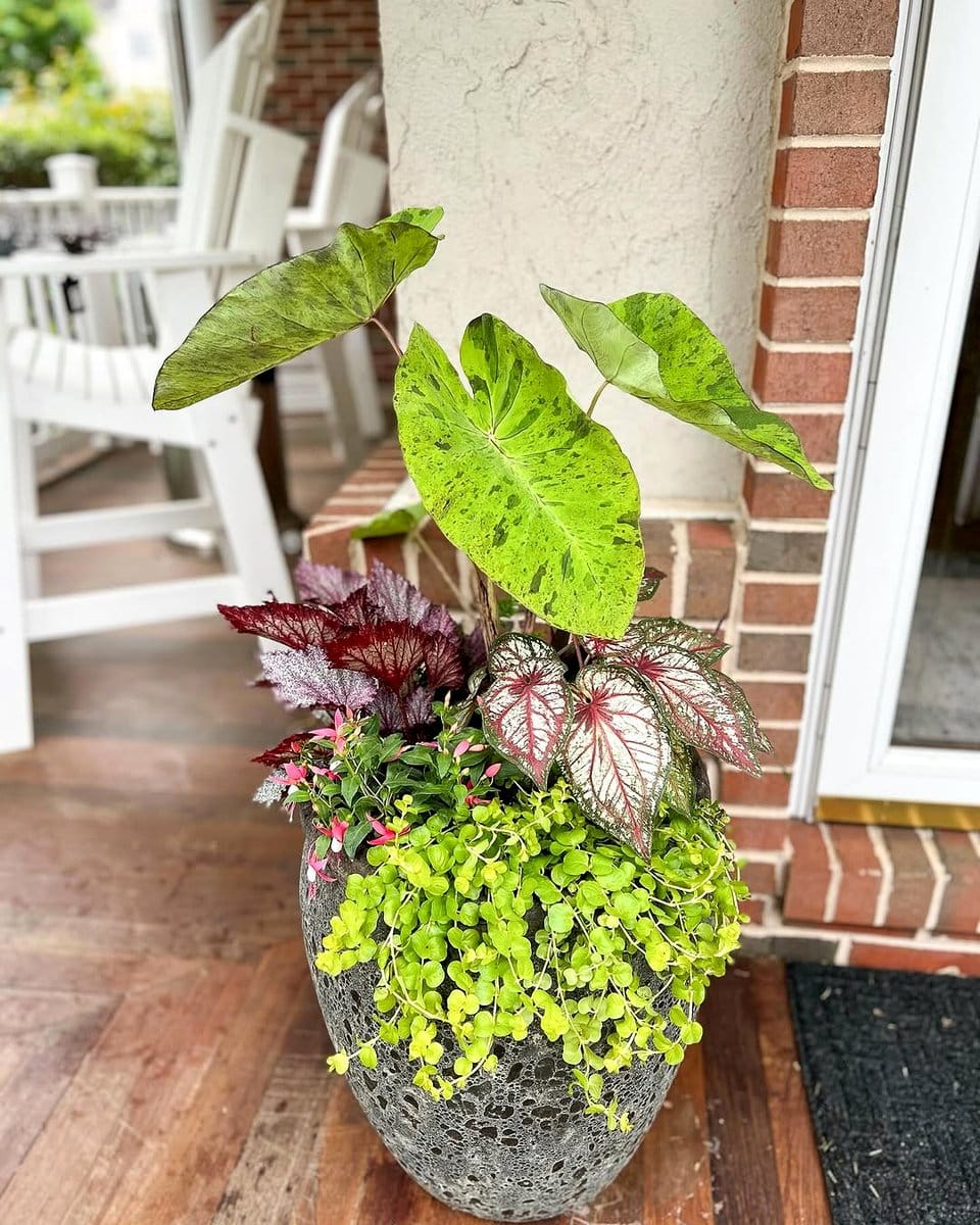 seasonal-themed plant pots