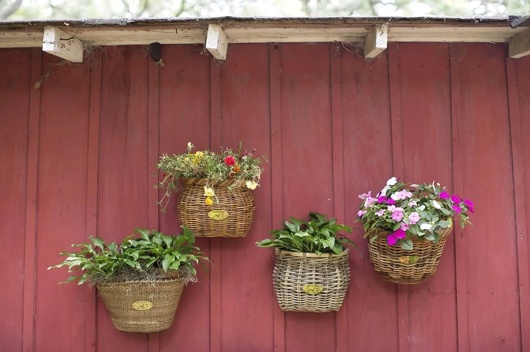 bicycle plant in a hanging planter