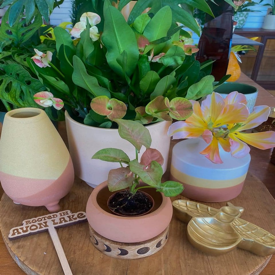 Botanical print paper cranes with plants