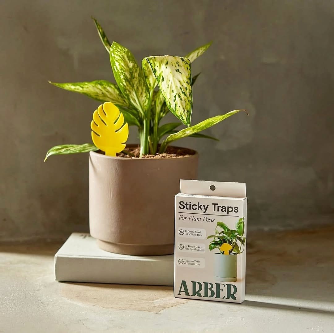 yellow sticky trap in plant pot