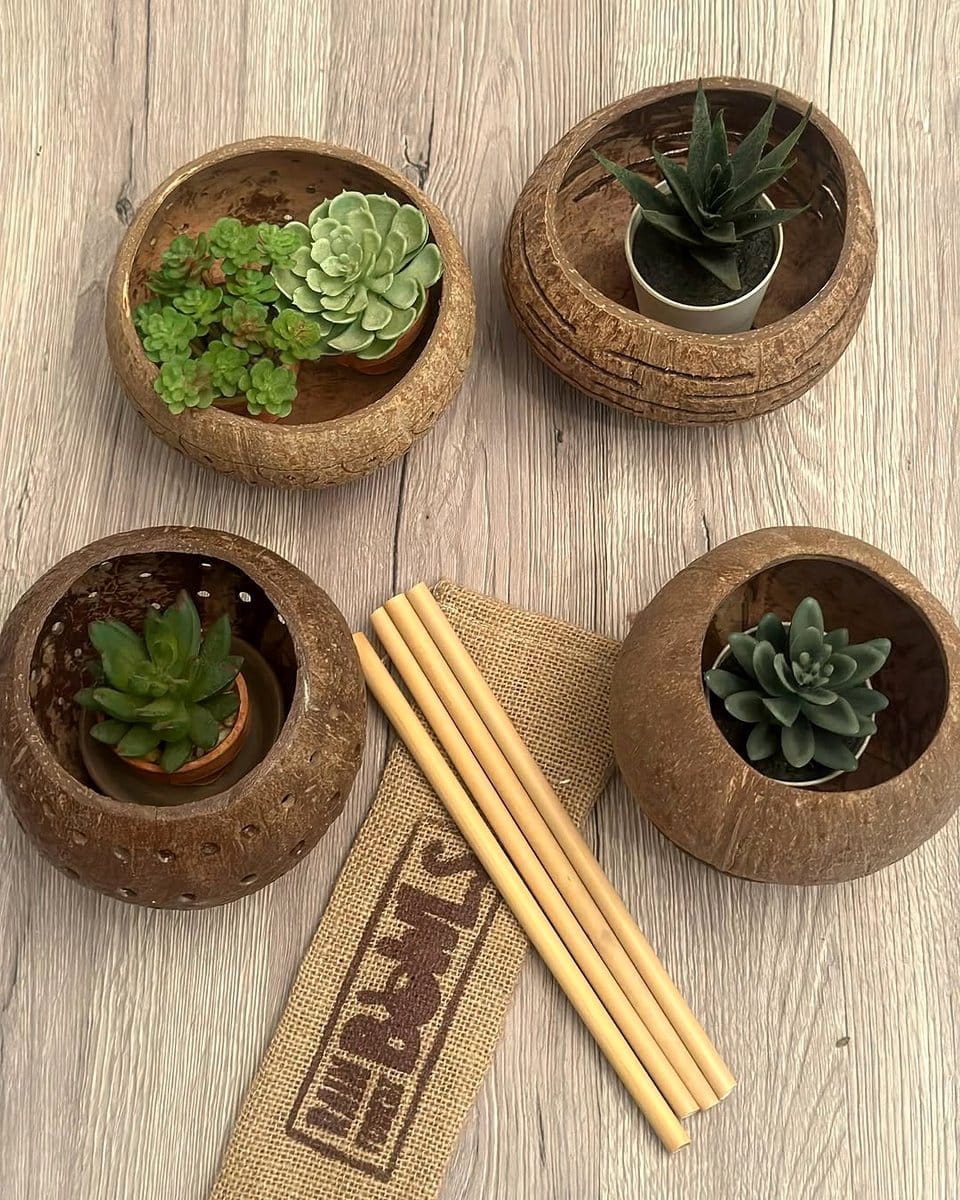 eco-friendly coconut planter