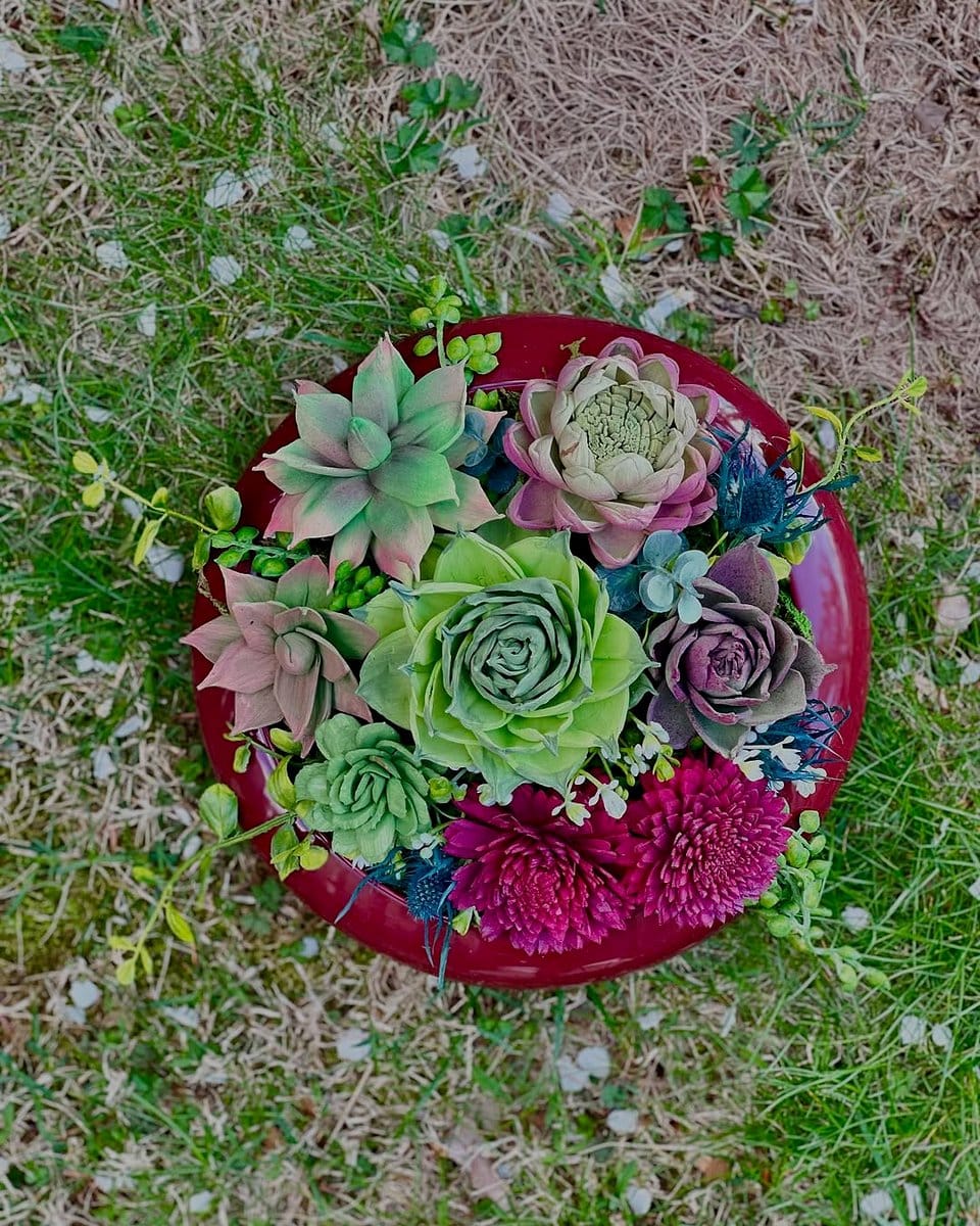 assorted succulents on bathroom vanity