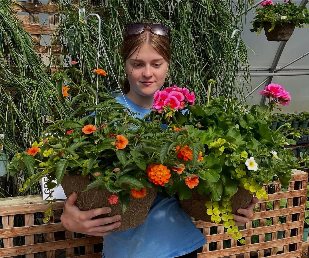 hanging baskets with colorful flowers