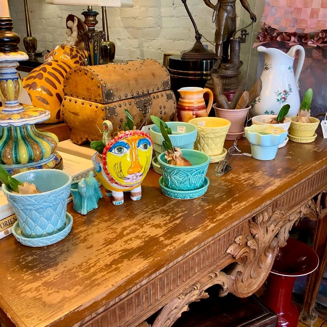 vintage plant pots with herbs
