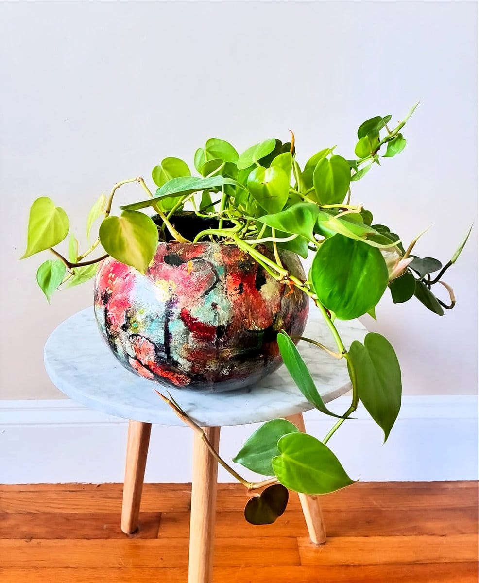 heart-leaf philodendron on mantel