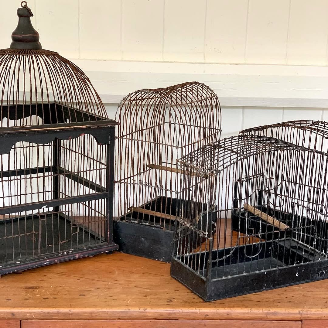 vintage birdcage with intricate design