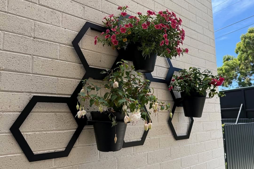 wall-mounted hexagon planters