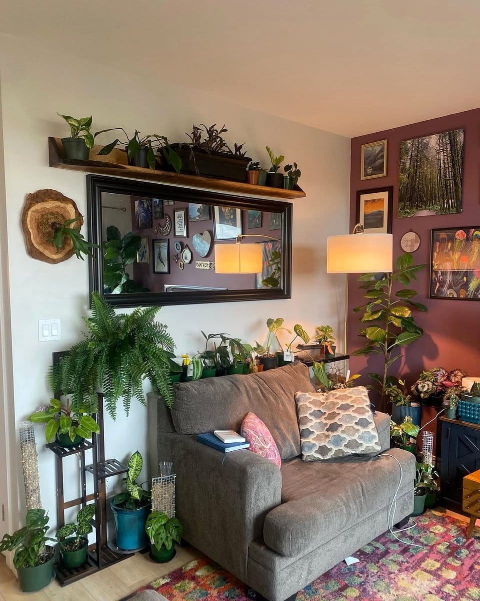 diverse plants on floating shelf