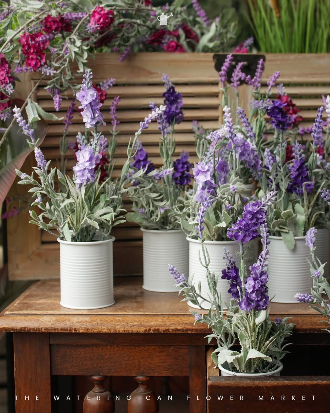 Fragrant lavender in terracotta pot
