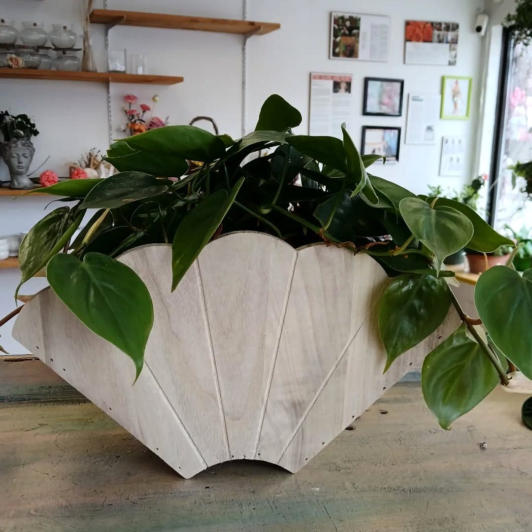 floating shelf with succulent woodblocks