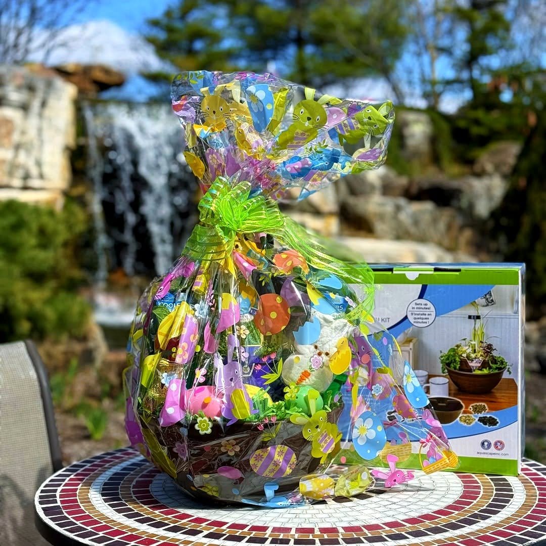 Creative hanging water garden with aquatic plants