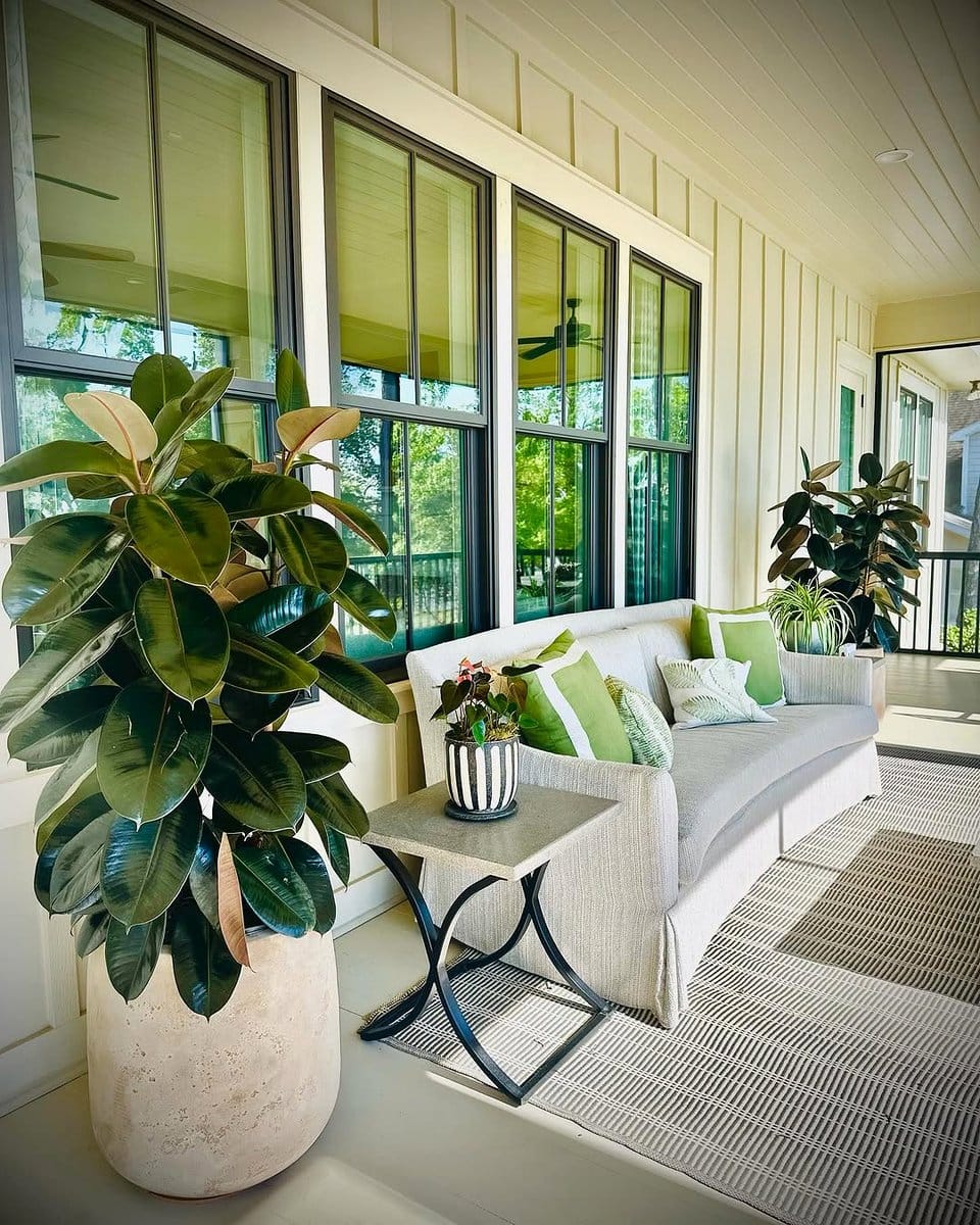 driftwood with cascading pothos