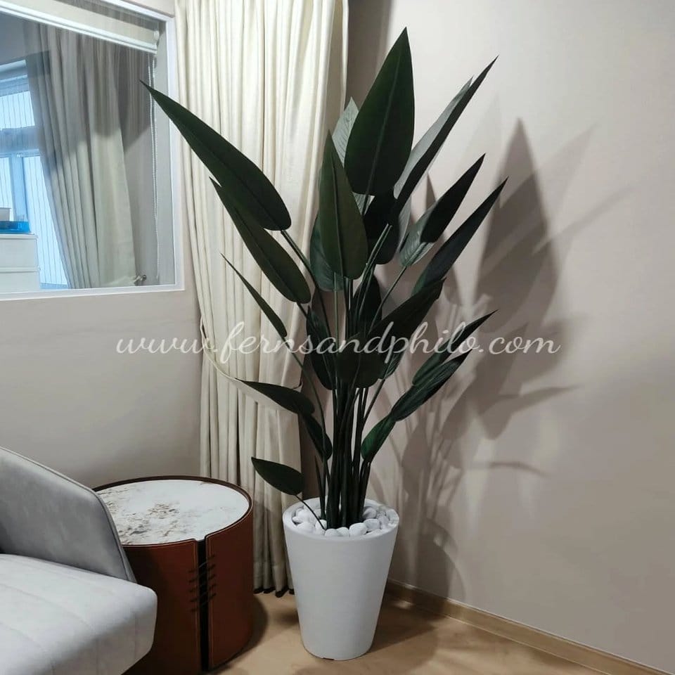 Wall-mounted blue ombre planters with ferns