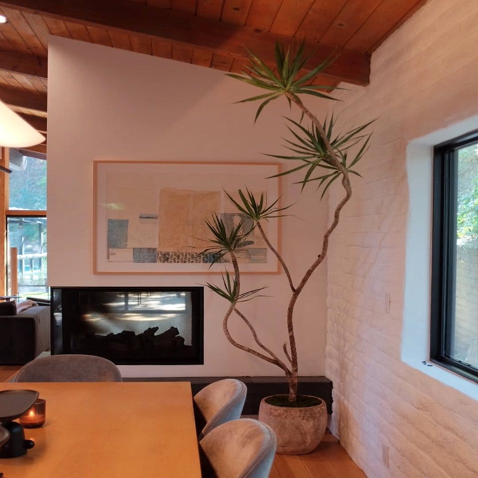 Sophisticated dining room with reflective plant decor