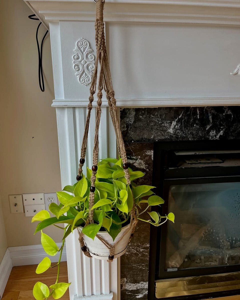 trailing ivy plant on fireplace mantle