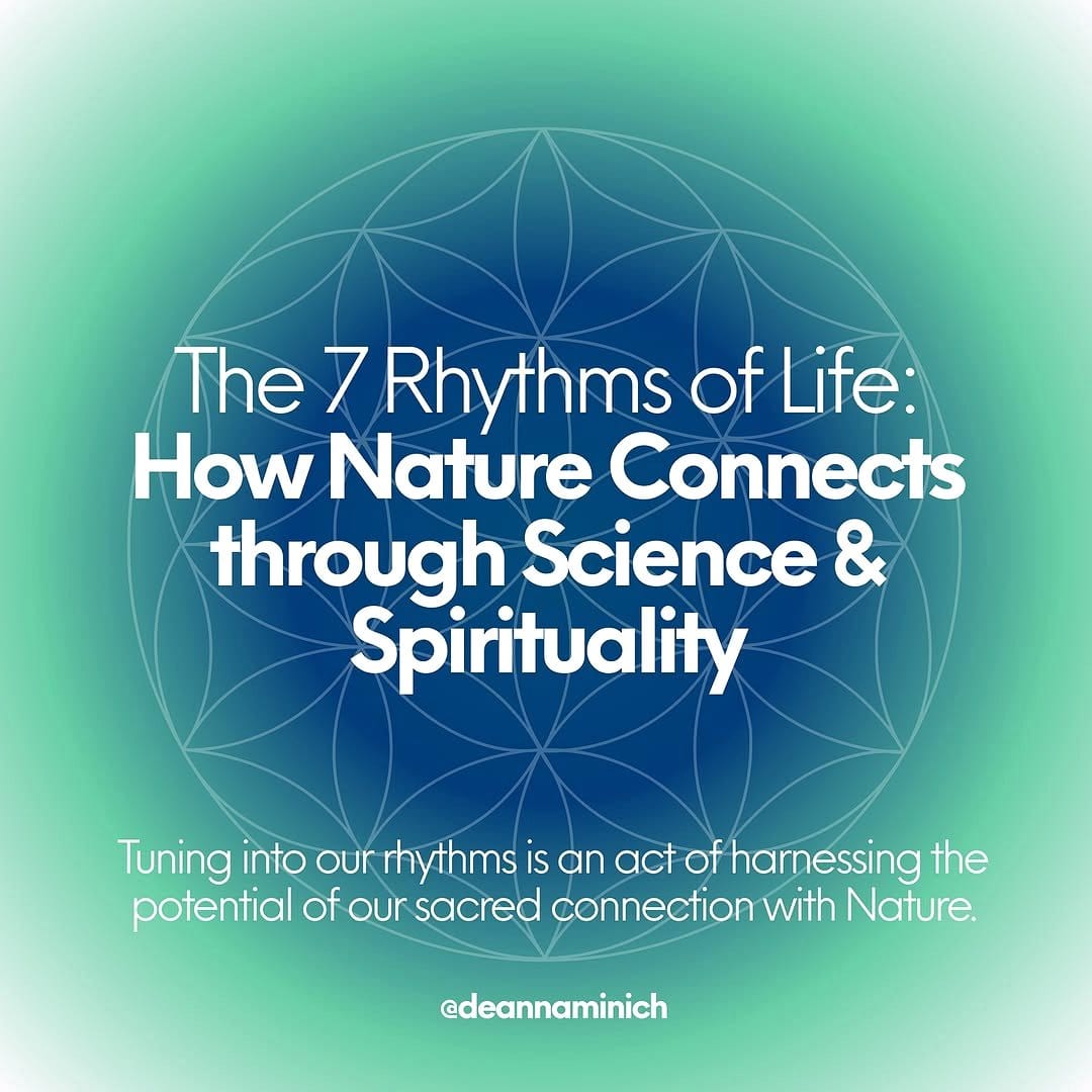 aromatic herb spiral pathways