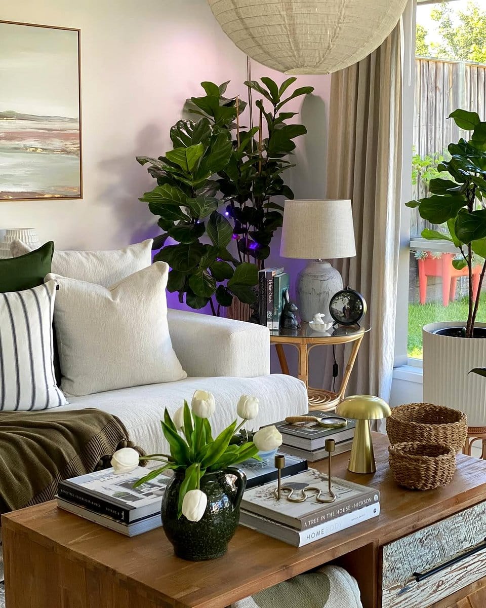 monstera and fiddle leaf fig in living room