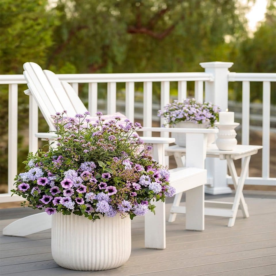 Elegant white ceramic plant pots with green ferns