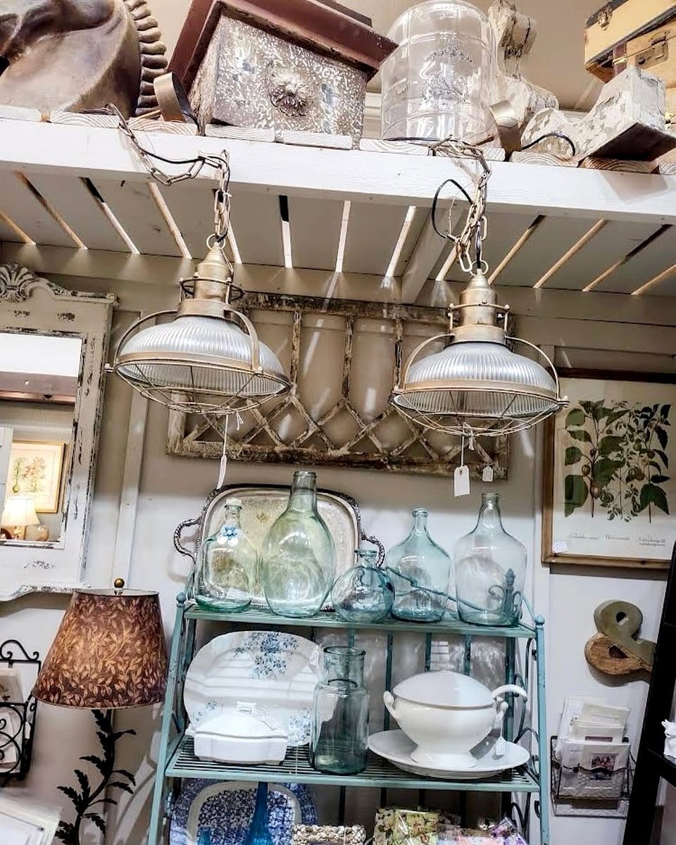 pendant light with hanging succulents