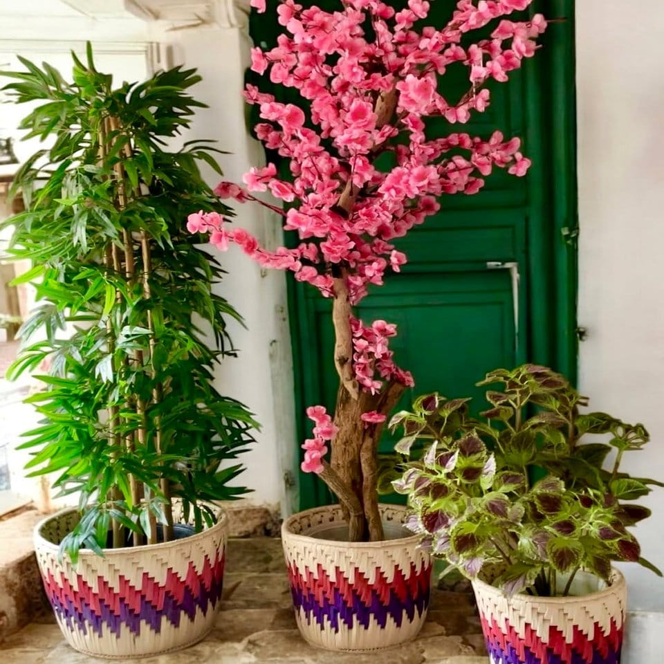 Burlap-wrapped plant pots with twine