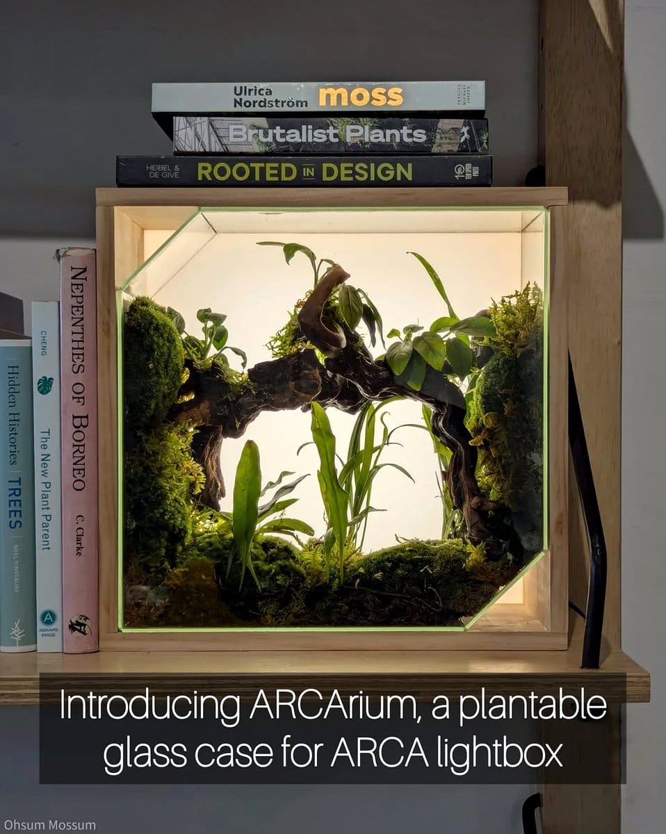 bookshelf with integrated plants