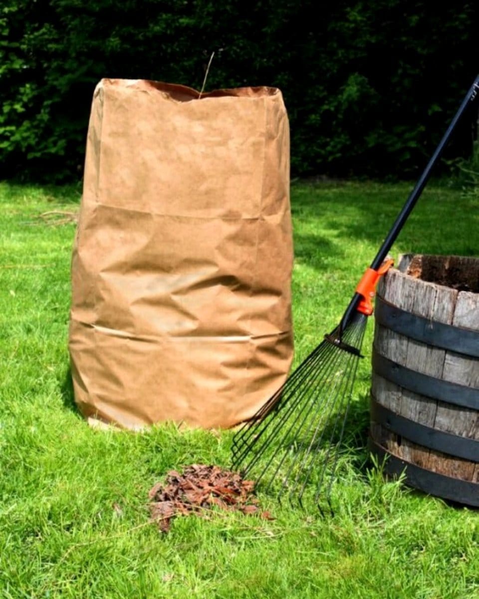 fresh grass clippings in wheelbarrow