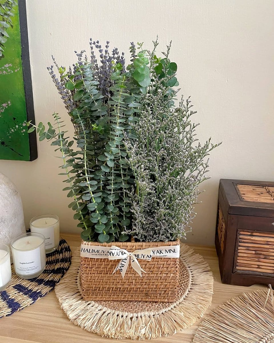 Lavender plant in rustic basket