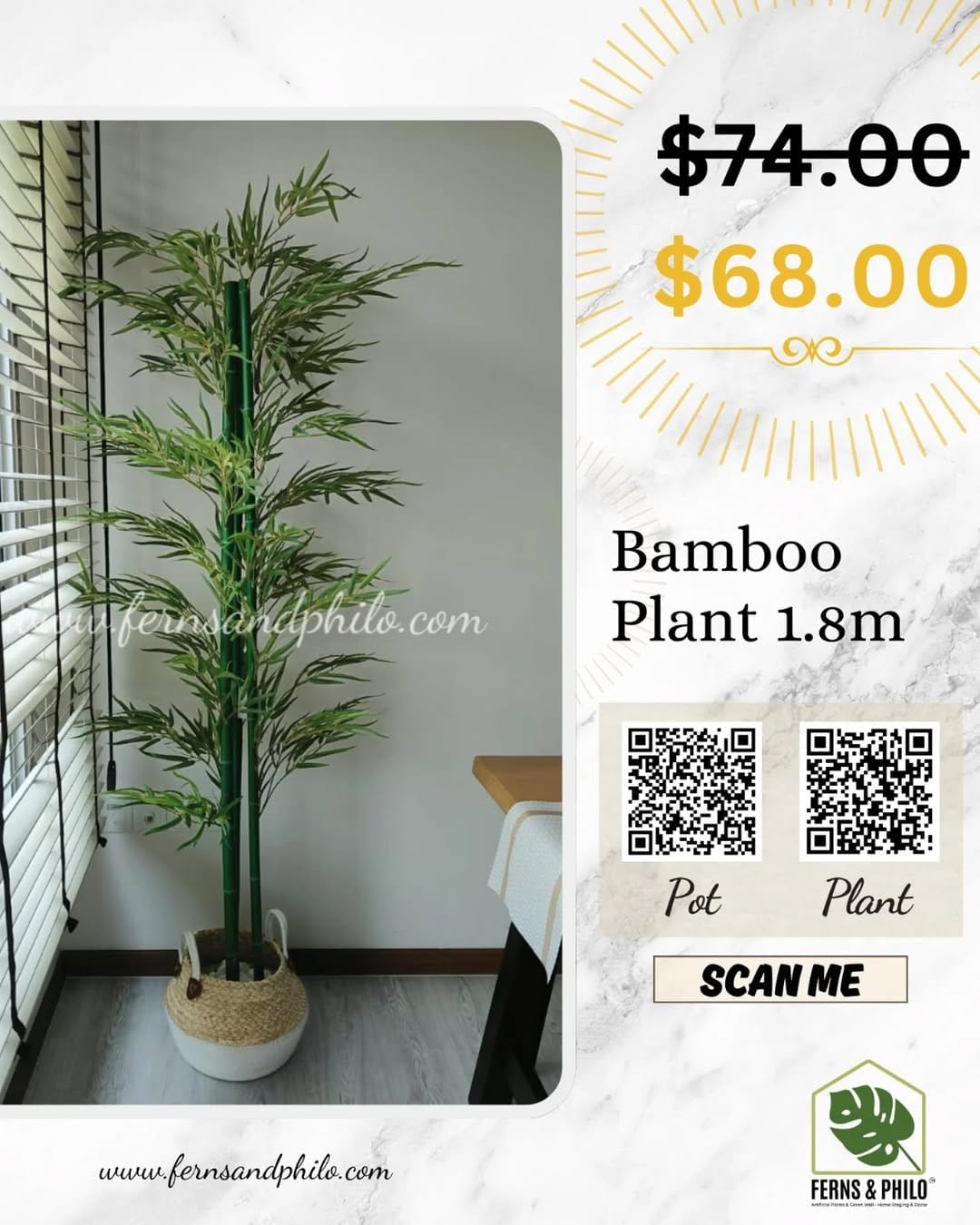 Natural ferns on bamboo stands