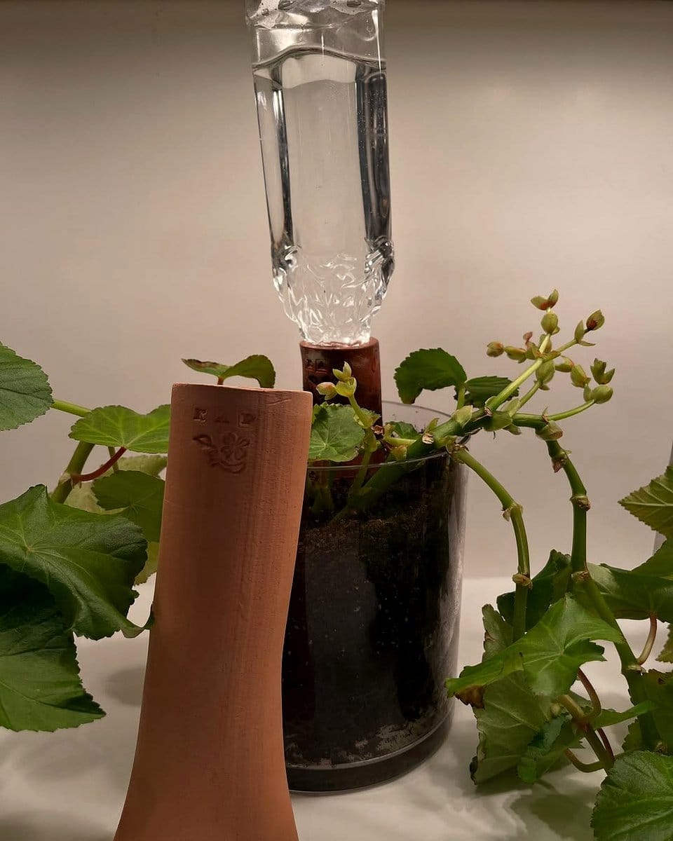wine bottle planters with seasonal plants