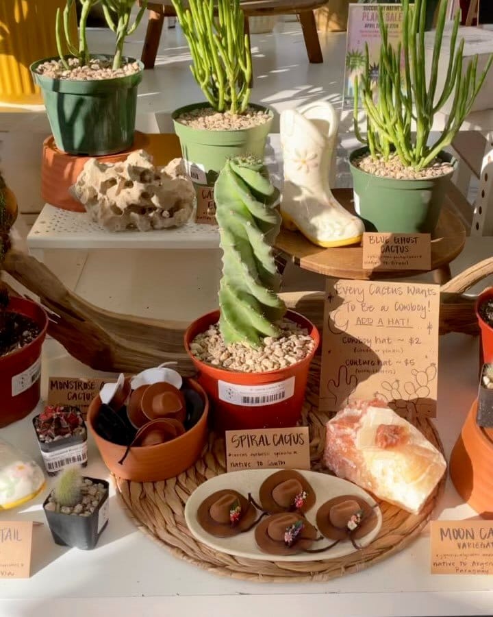 ceramic totem pole planter with cactus