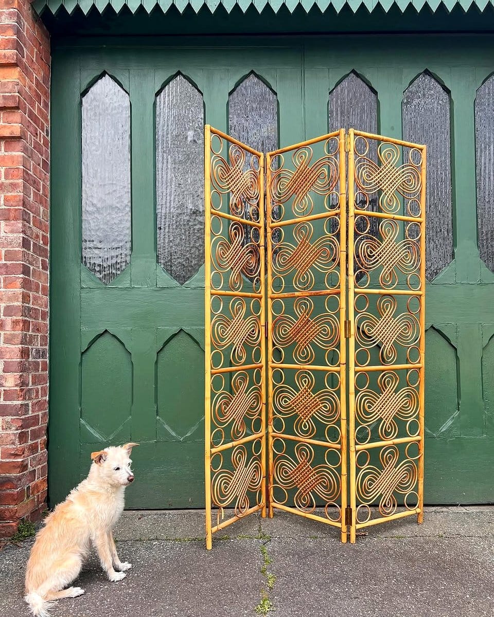 bamboo room divider in open space