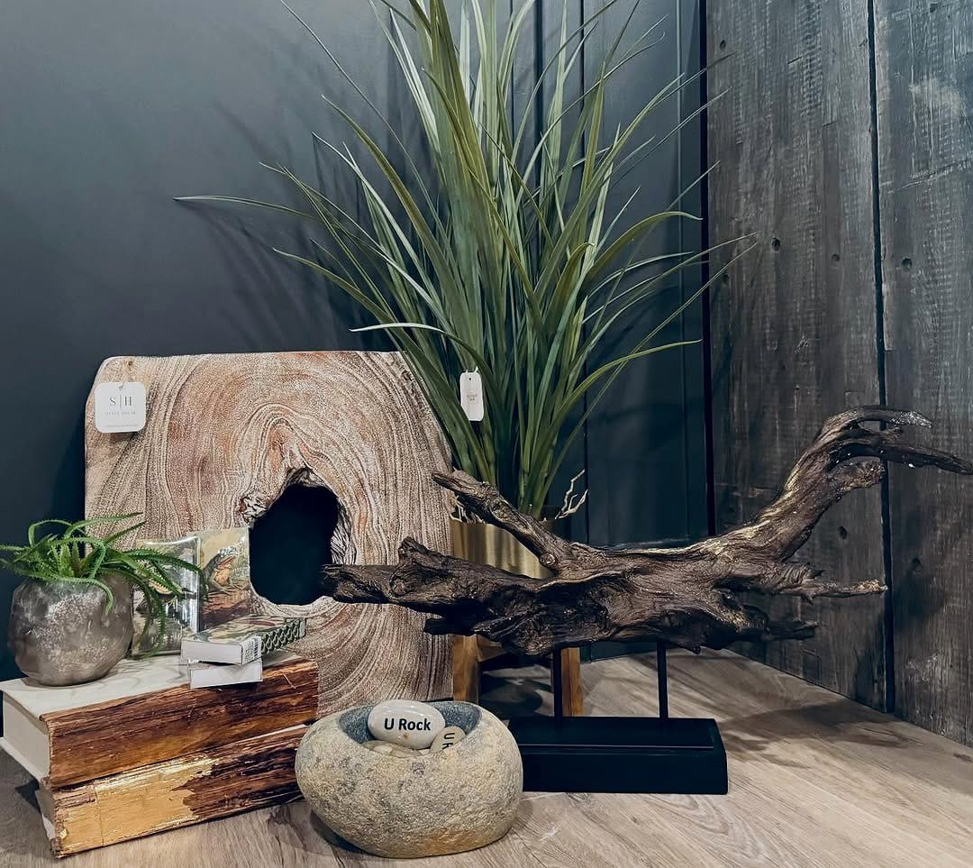 Sculptural driftwood wall art with plants