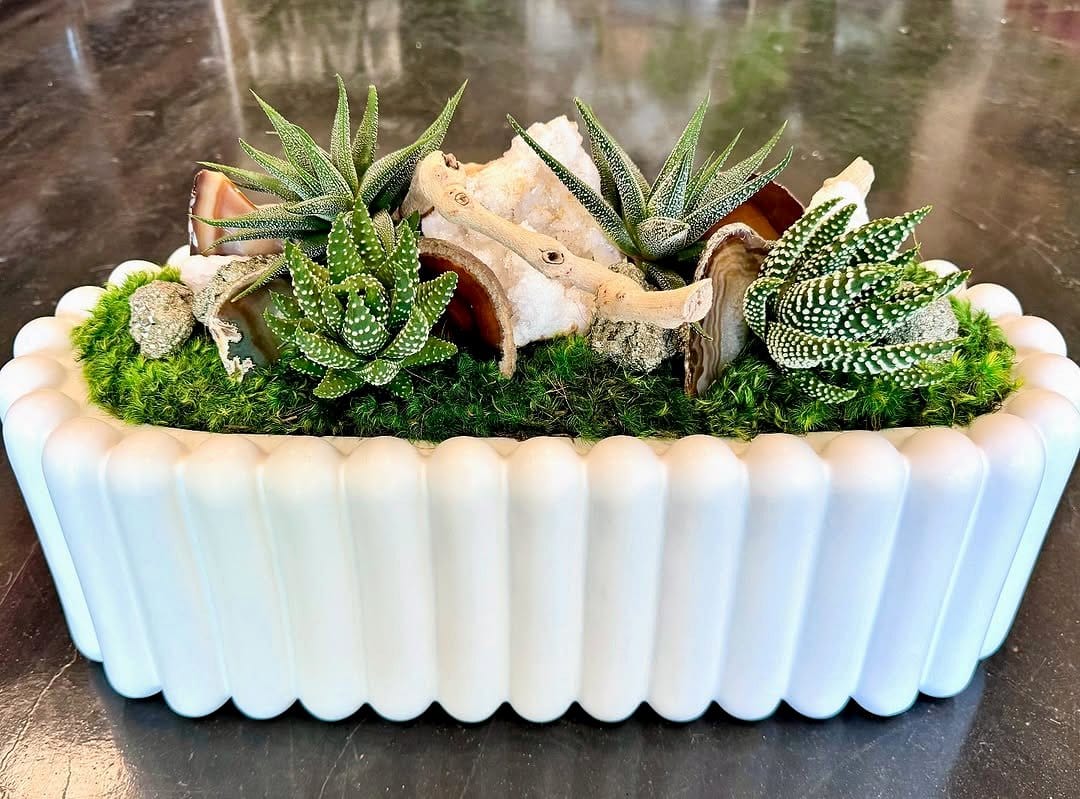 Geometric succulent layout in Persian style