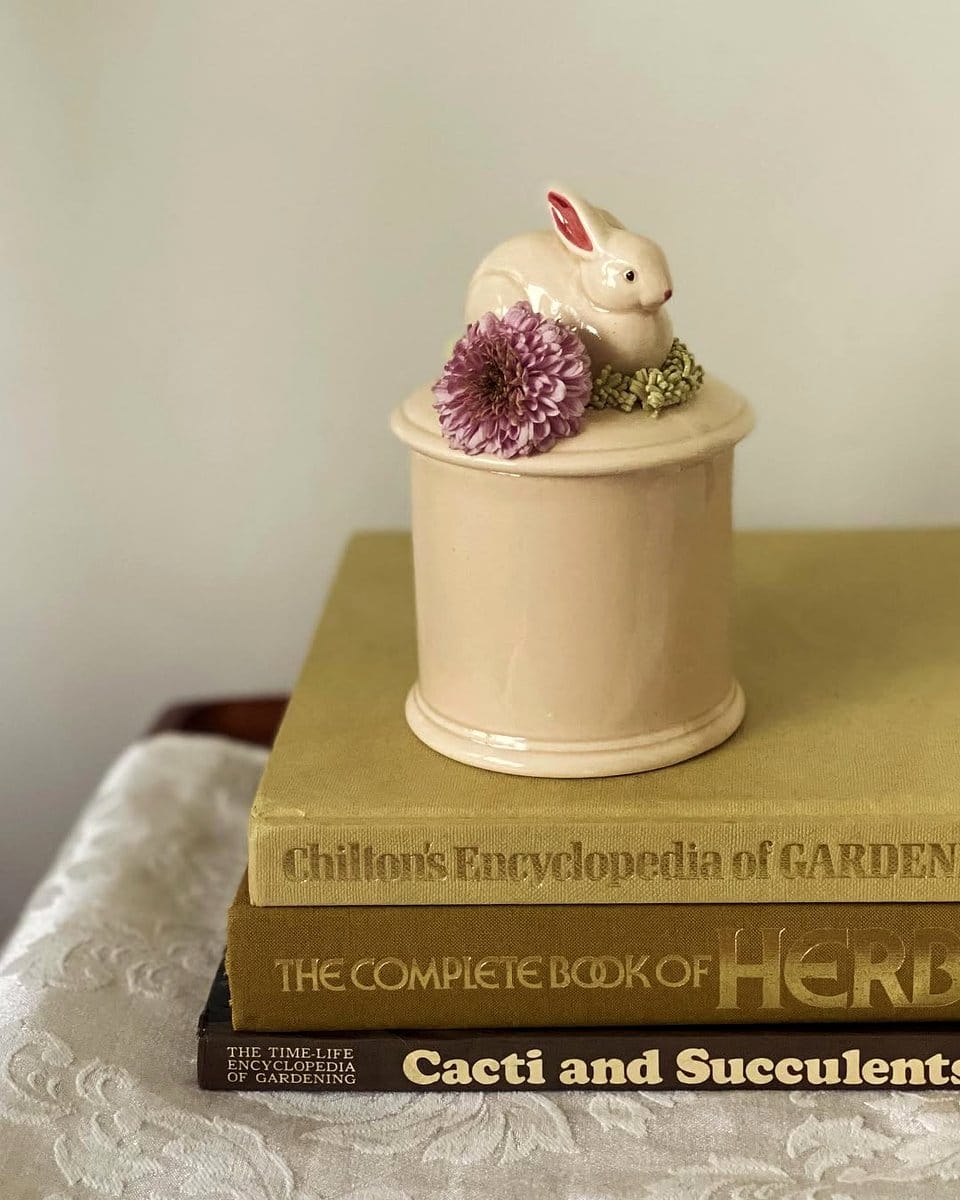 encyclopedia set with succulents
