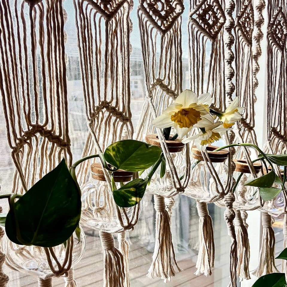 Sequined plant curtains hanging in a window